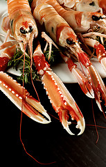 Image showing Delicious Raw Langoustines