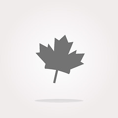 Image showing vector maple leaf icon glassy web button. Web Icon Art. Graphic Icon Drawing