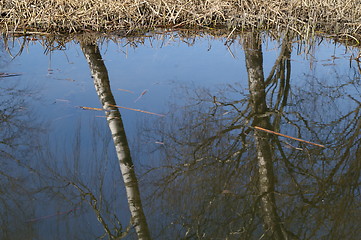 Image showing Lake