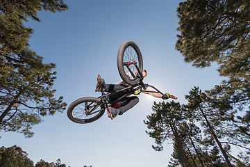 Image showing High BMX jump