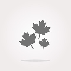 Image showing vector Maple leaf icon on web button. Web Icon Art. Graphic Icon Drawing
