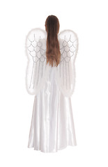 Image showing Angel standing from back 1.