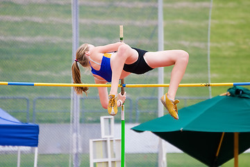 Image showing Pole Vault