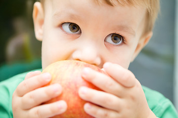 Image showing Portrait of a cute little boy biting apple