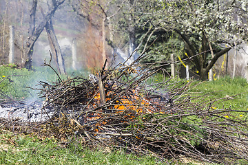 Image showing Fire and Smoke from during Burning branches