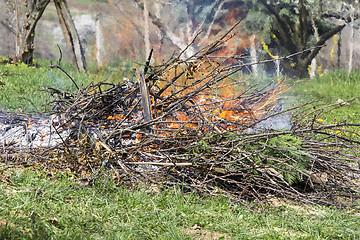 Image showing Fire and Smoke from during Burning branches