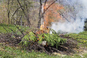 Image showing Fire and Smoke from during Burning branches