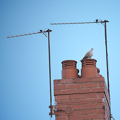 Image showing Chimney and dove