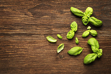 Image showing Basil leaves