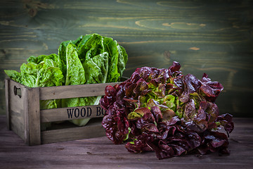 Image showing Assorted lettuce on wooden table