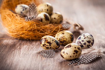 Image showing Easter eggs with nest