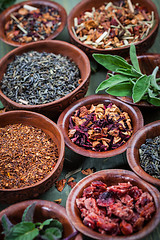 Image showing Assortment of dry tea