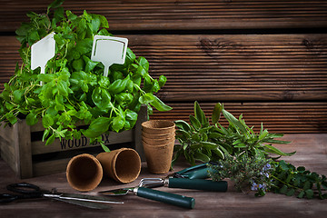 Image showing Gardening