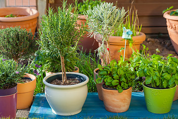 Image showing Flower pots