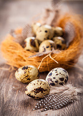 Image showing Easter eggs with nest