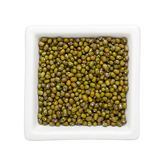 Image showing Mung bean