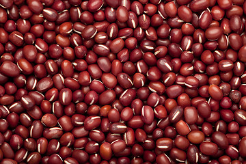 Image showing Adzuki beans