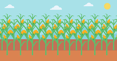 Image showing Background of corn field.