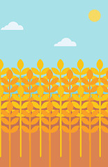 Image showing Background of wheat field.