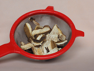 Image showing Porcini mushroom in colander