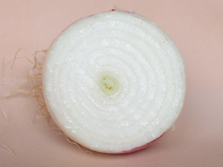 Image showing Onion vegetable sliced