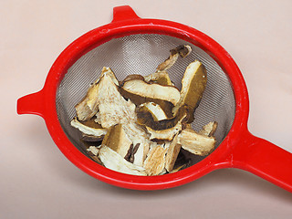 Image showing Porcini mushroom in colander