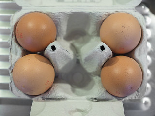 Image showing Eggs in egg box