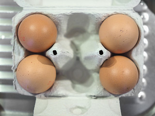 Image showing Eggs in egg box