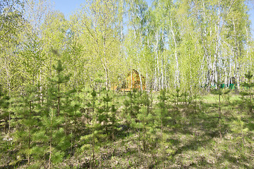 Image showing house in forest