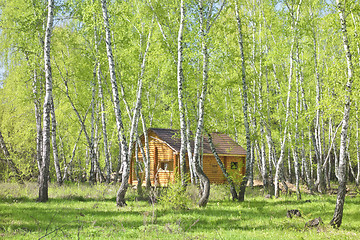 Image showing house in forest