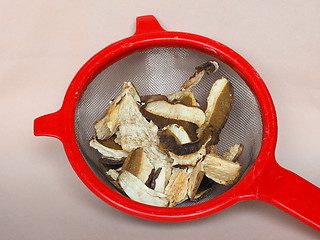 Image showing Porcini mushroom in colander