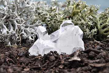 Image showing Rock crystal on forest floor