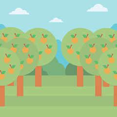 Image showing Background of orange trees.