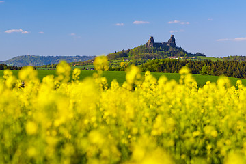 Image showing Trosky Castle, Czech Republic