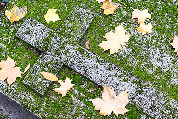 Image showing Christian grave in moss and autumn leaves.