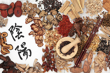 Image showing Yin and Yang Chinese Herbs