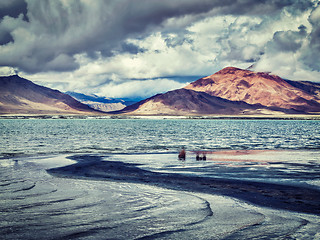 Image showing Salt lake Tso Kar in Himalayas. Ladakh, India