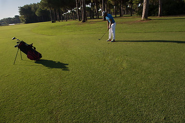 Image showing golf player hitting shot