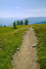 Image showing Hilly Landscape Path