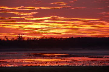 Image showing Sunset sky clouds