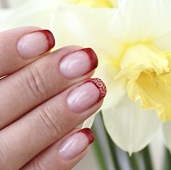 Image showing Decorated nails