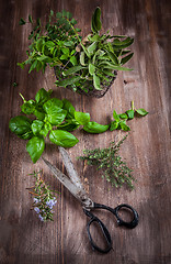 Image showing Herbs