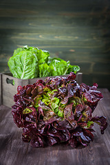 Image showing Assorted lettuce on wooden table