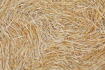 Image showing Haystack closeup texture