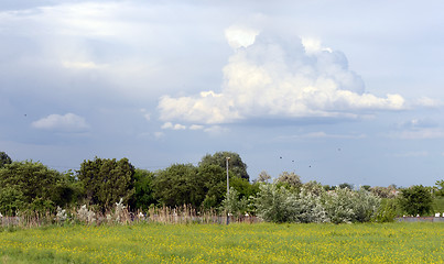 Image showing Cloudy in spring time