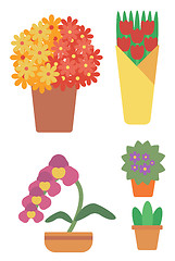 Image showing Variety of colorful flowers.