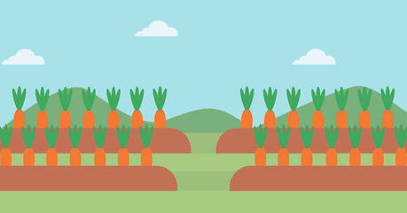 Image showing Background of carrots growing on field 