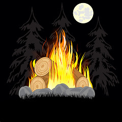 Image showing Campfire in wood