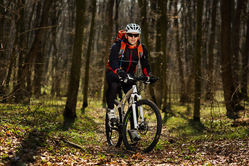 Image showing Rider in action at Freestyle Mountain Bike Session