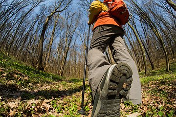 Image showing Male hiker looking to the side walking in forest